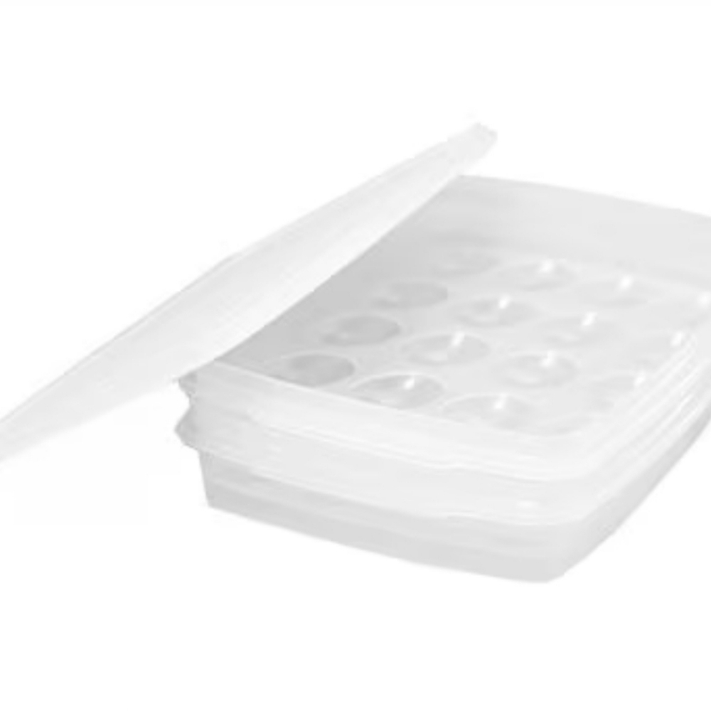 NEW 2 Layer Egg Keeper With Lid